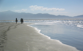 Ensenada mexico excursions