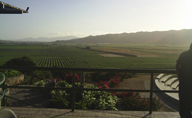 Guadalupe Valley ensenada mexico