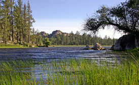 Sierra de Juarez ensenada