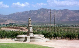 Ensenada Wine region mexico